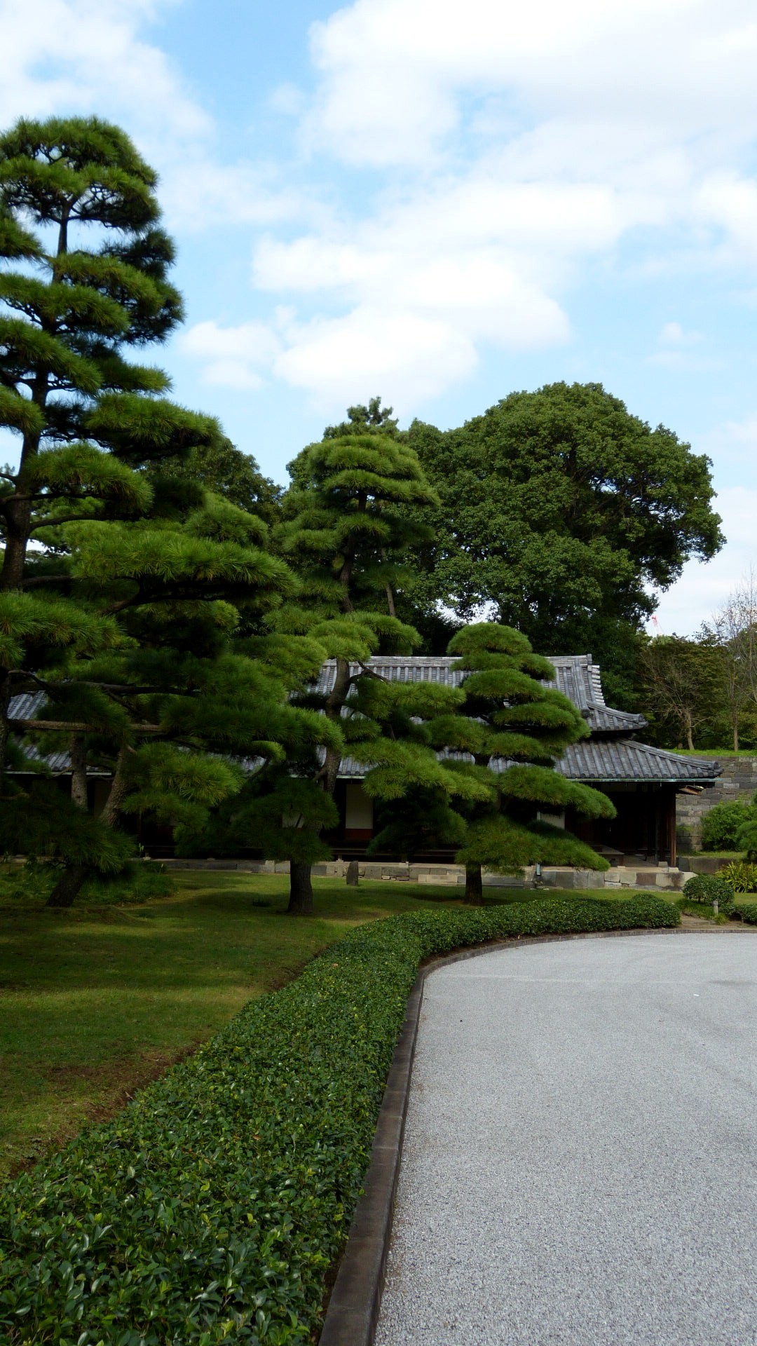 manicured trees obscure a traditional building